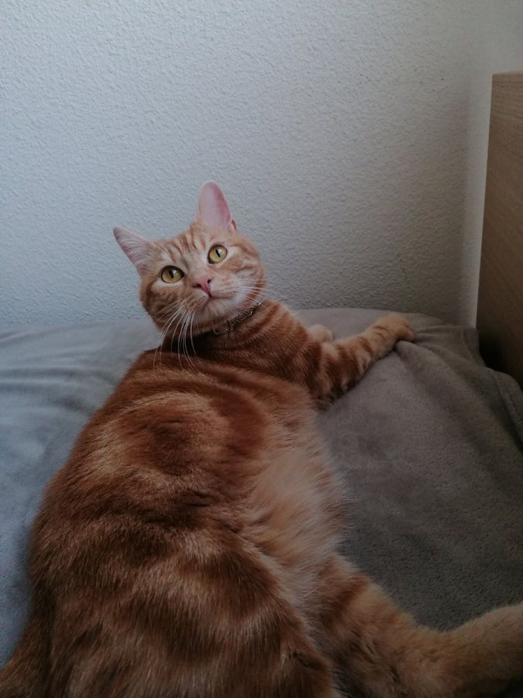 314928905_516836177014491_2422818476081205776_n