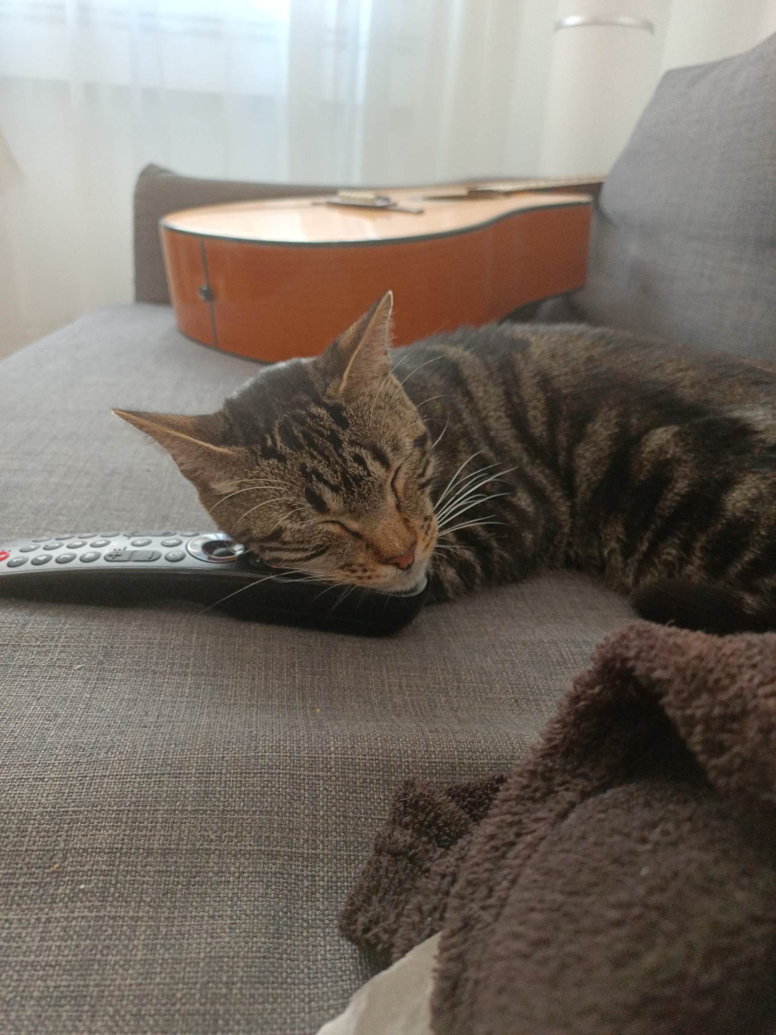 314932728_796170061465575_5194183521378242372_n