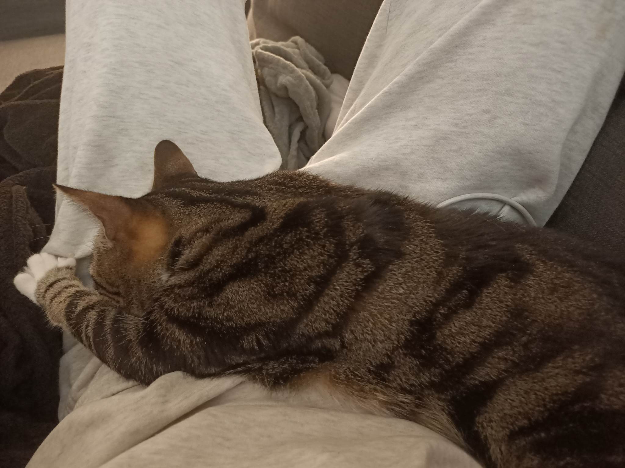 315009583_560588876066797_6077279559230920478_n-1