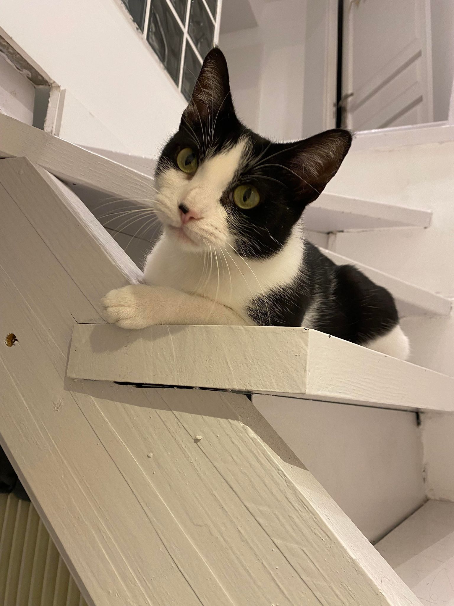 315146220_1171968367027973_6868808778089405810_n