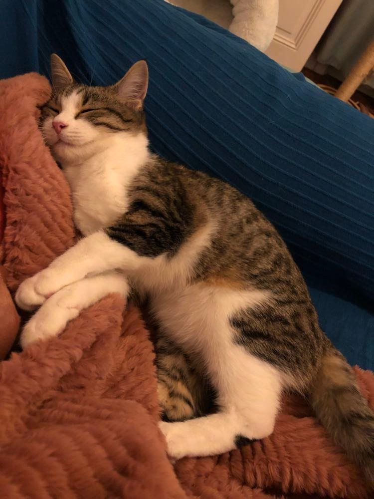 315186200_862855598180889_2186637386291042317_n