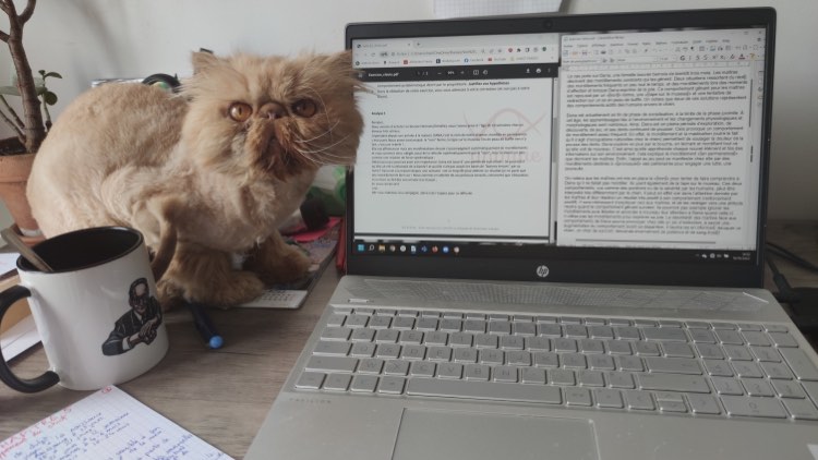 315520030_1565032800624032_6158309252287809909_n