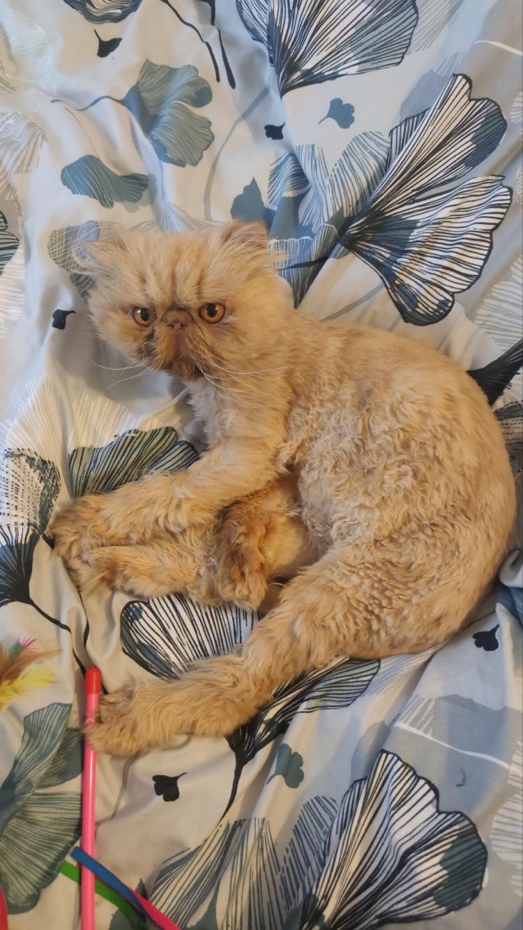 315522276_672828201113948_3404217081294255507_n