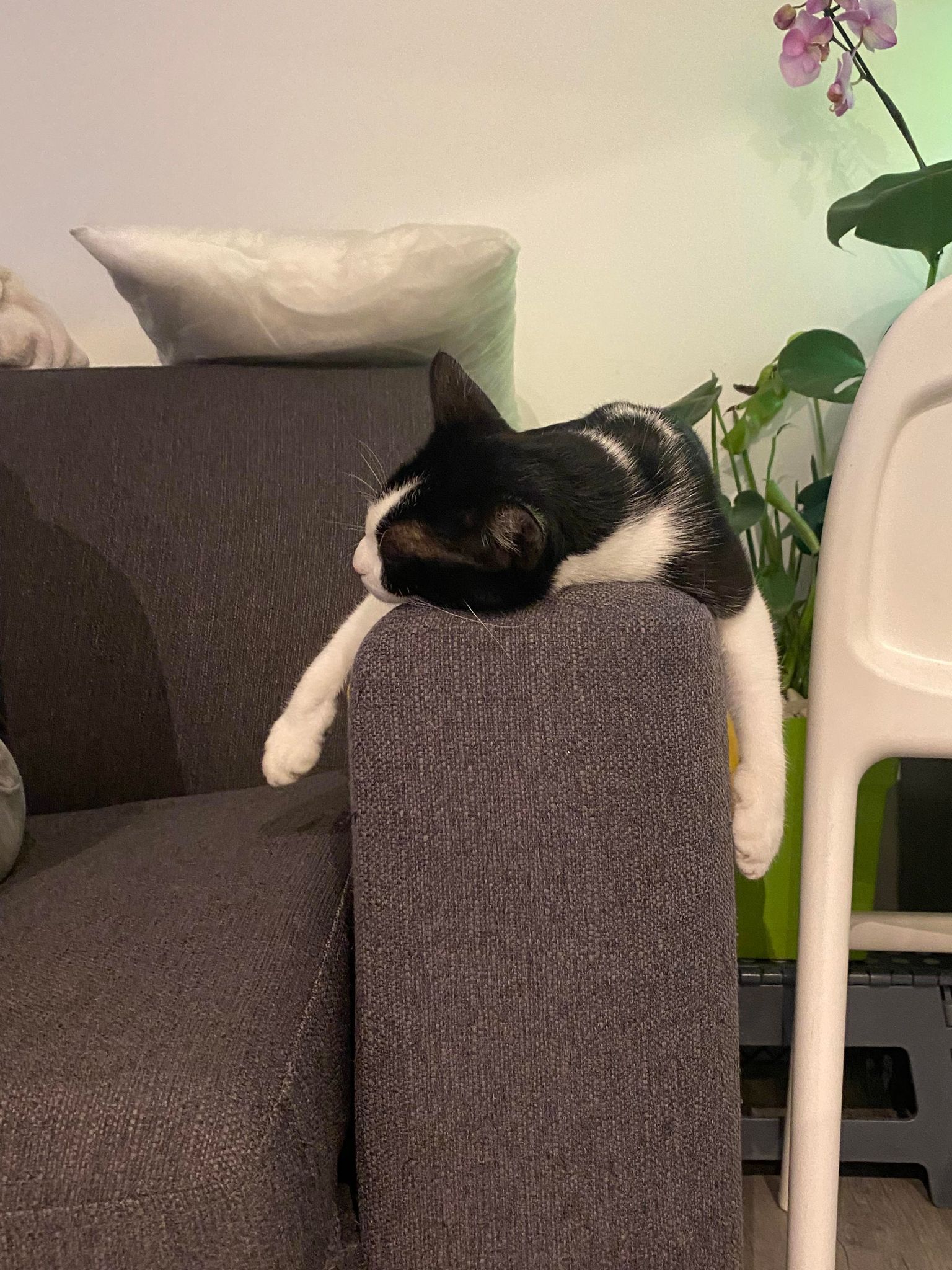 315526564_3318690128399841_1825193570326079423_n