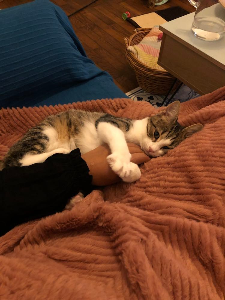 315527793_1248332965715930_2678646871440343116_n