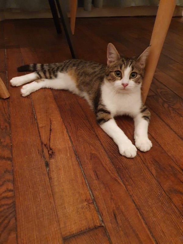 315529485_1180150145930346_1487411386126106008_n