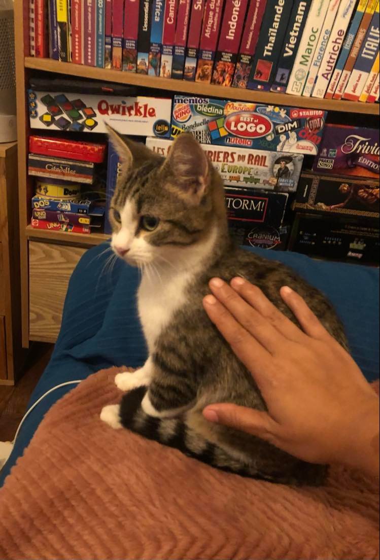 315530066_2337775489733302_7249760593435969059_n