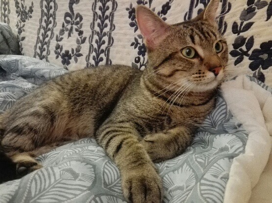 315530416_596548799045320_6463460463854617905_n