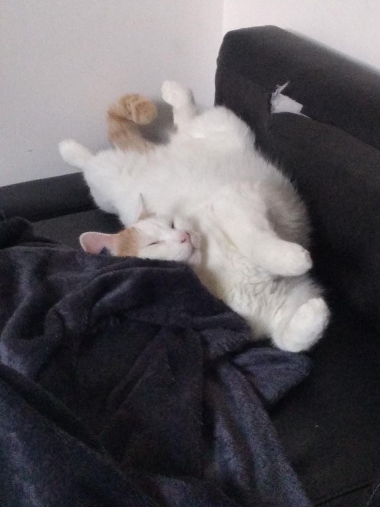 315532763_2238967676277038_4956934437808216755_n