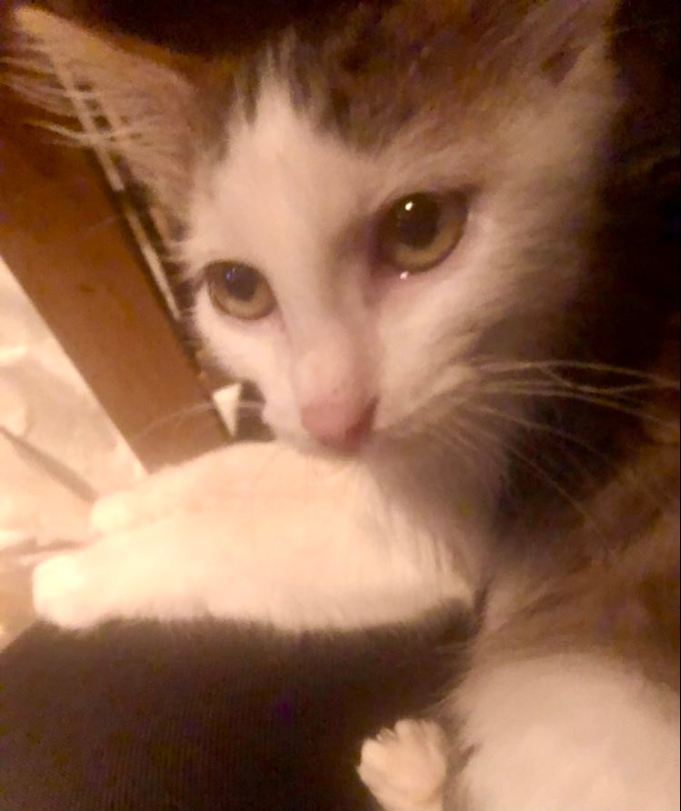 315533153_518036260235445_1019096290624601904_n