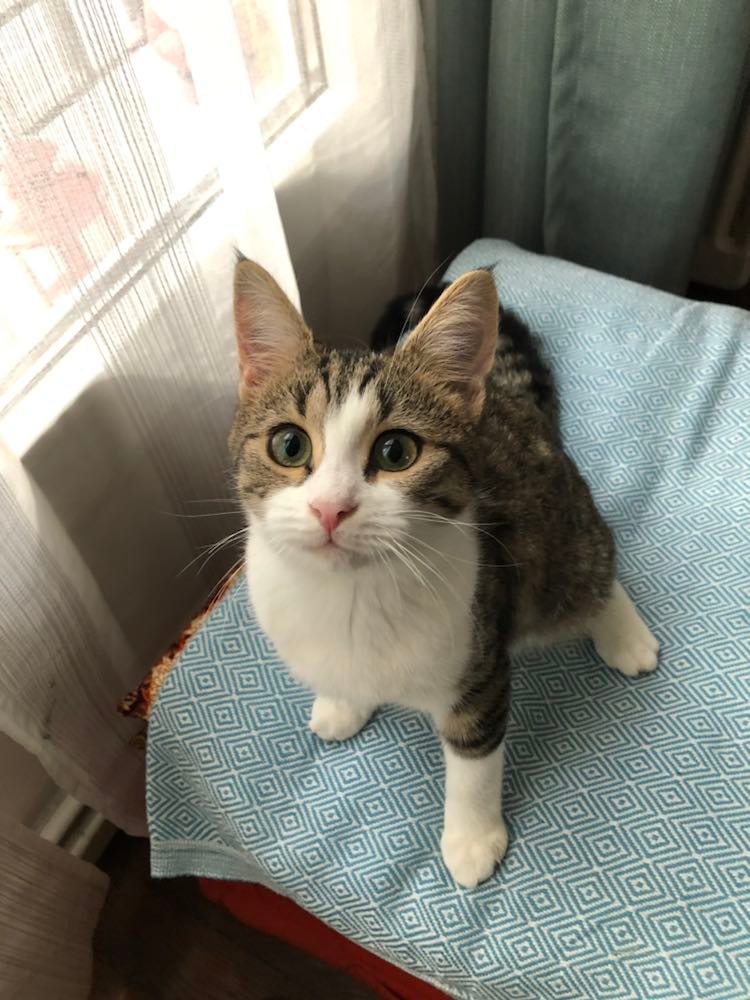 315533789_932126901507678_1011800740310735377_n