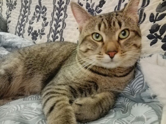 315534235_1488233931657919_16431705139804327_n