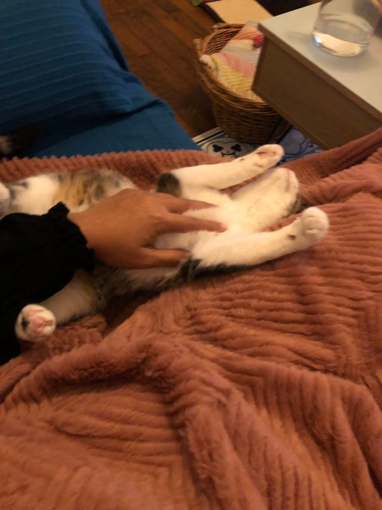 315892576_652378926382007_8246675464230573608_n