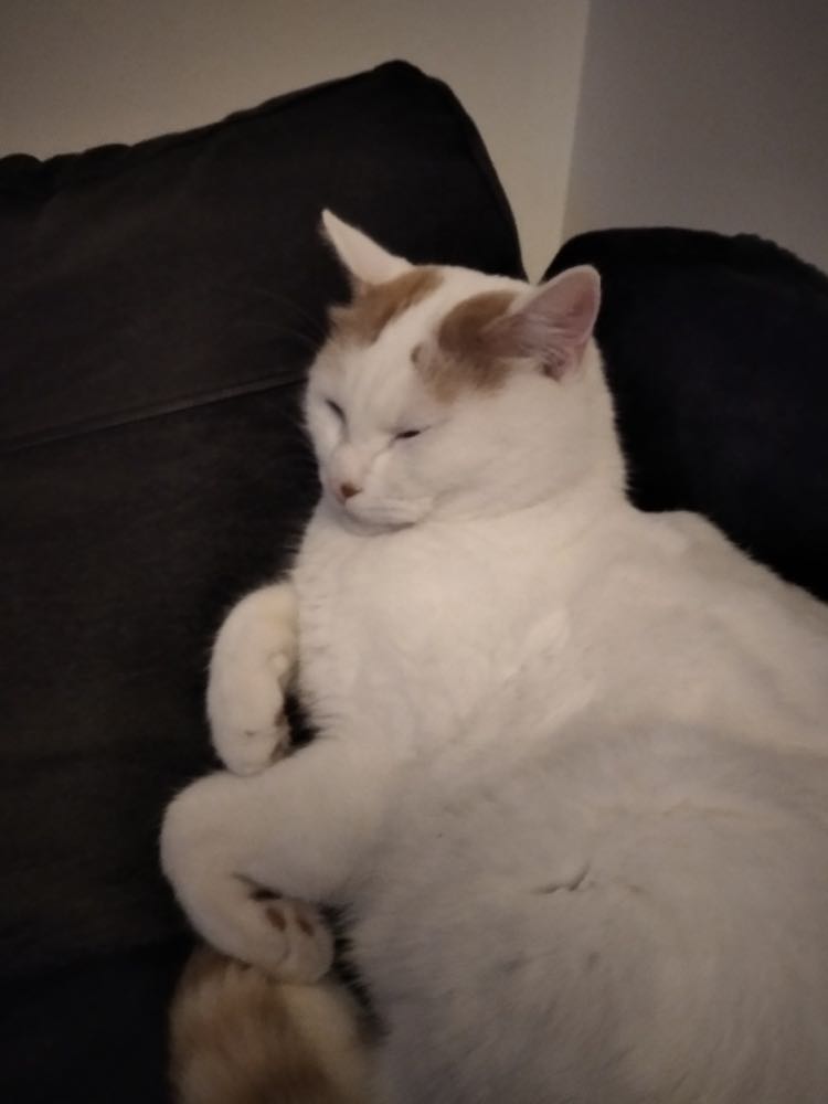 315932279_663313378763807_422606709649151640_n