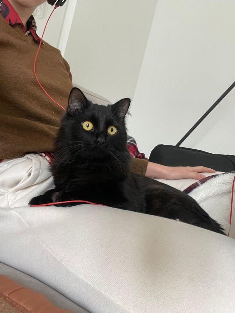 315956545_870403724329609_6005160126749823280_n