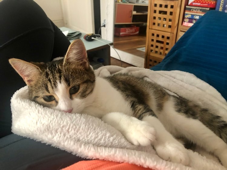 315969147_1108196016562837_5563245624225048040_n