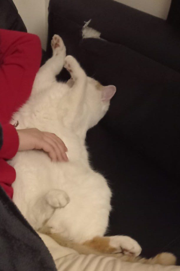 315975223_573603597862616_5300800094222004850_n