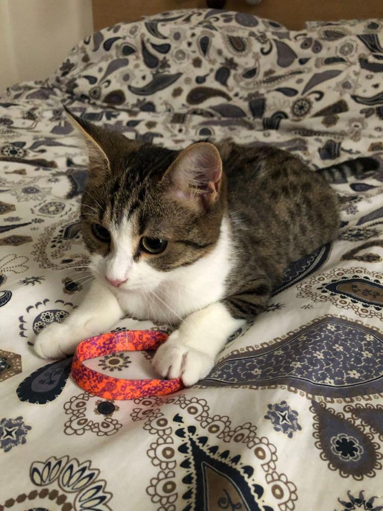 316034478_849636099722429_2205934478903938978_n