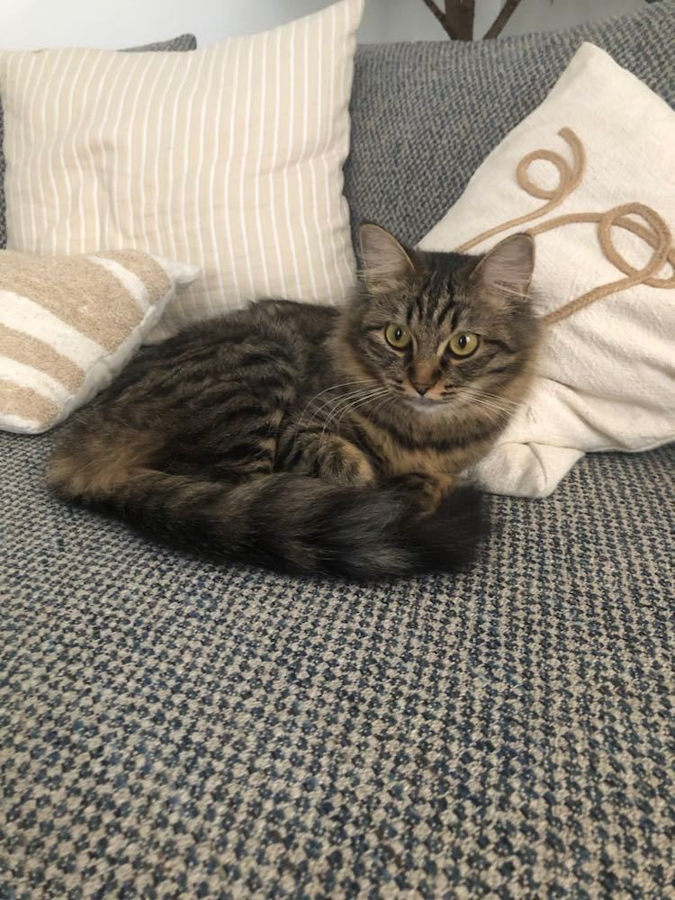 316059071_1120717732137071_3255005125746810321_n