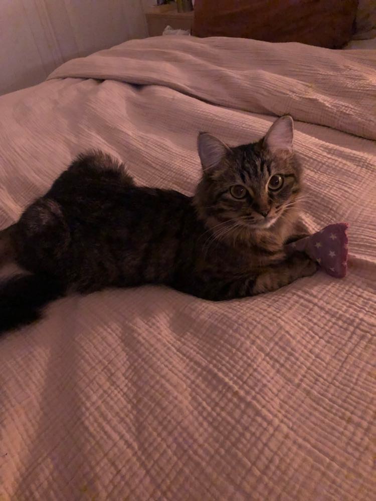 316108309_1141015889872768_4078267599675026420_n