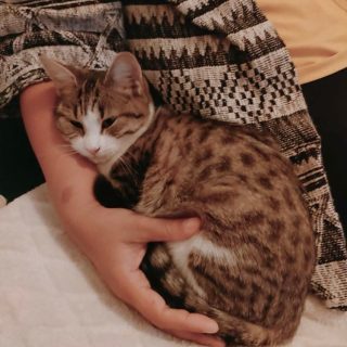 Photo de Pauline, dite Pôpô