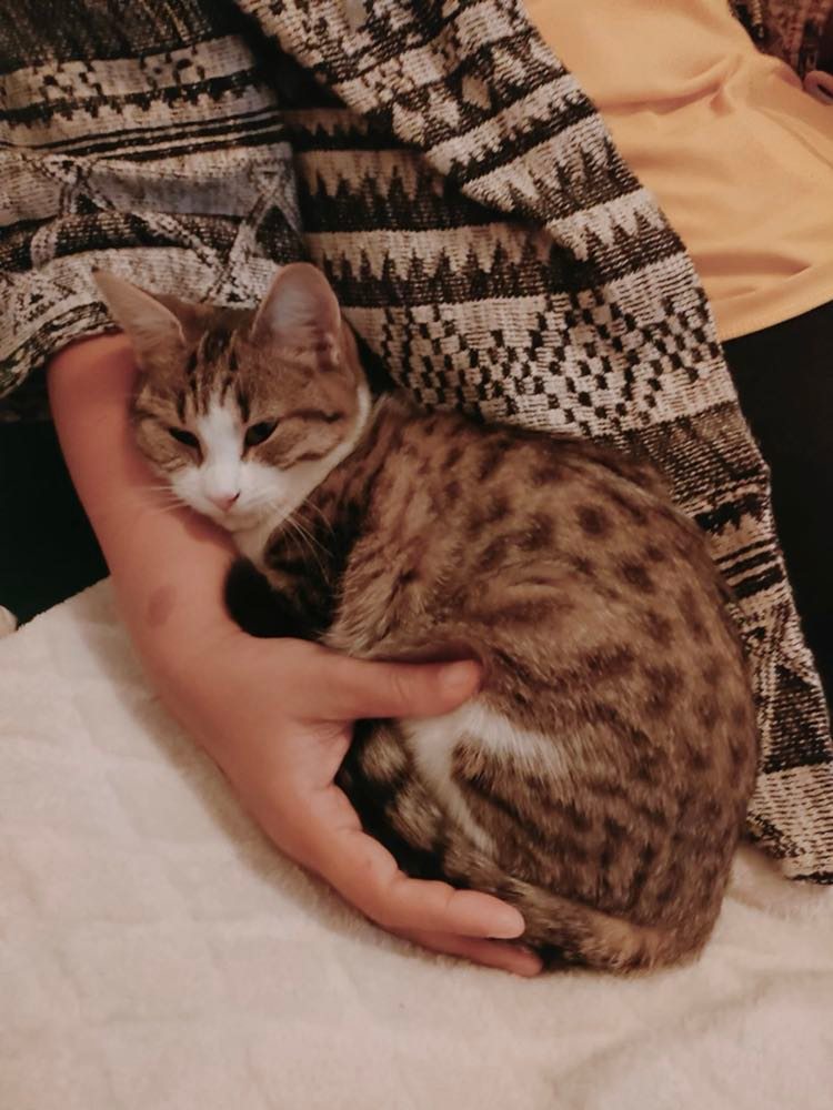 316112688_2347284582105681_1237254019513551411_n