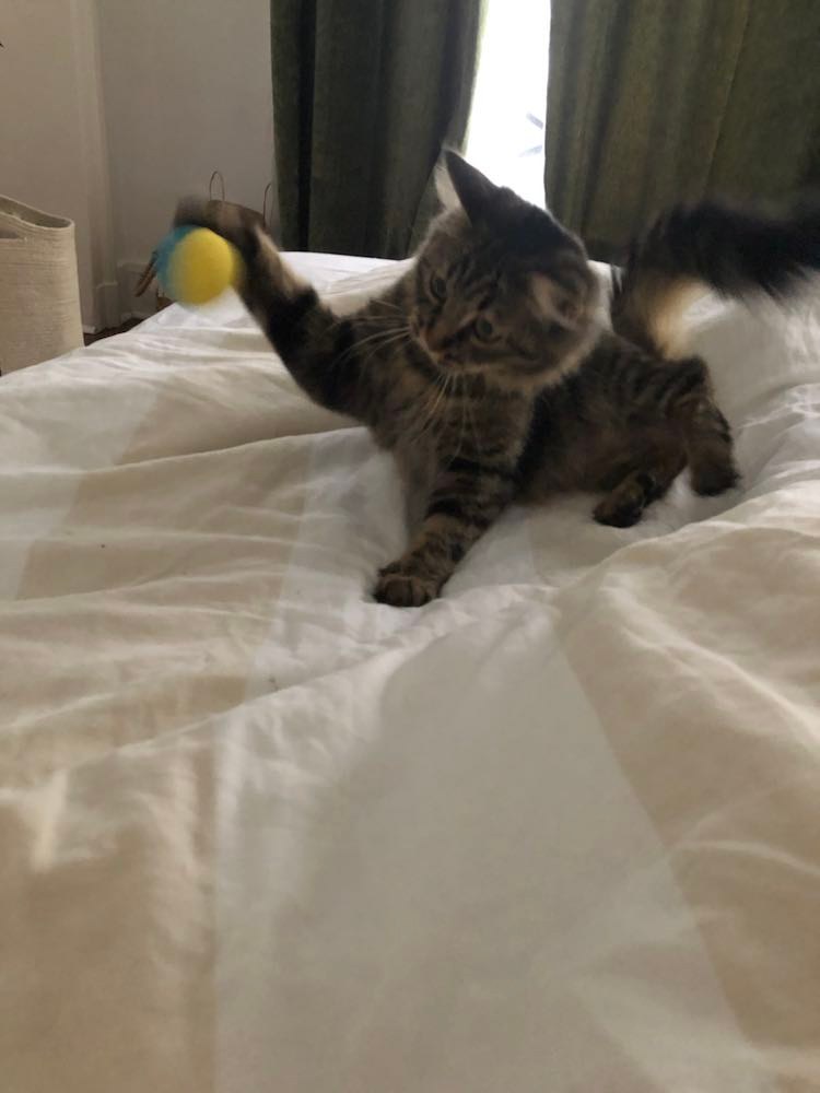 316210332_671824574576441_5972316984776966362_n