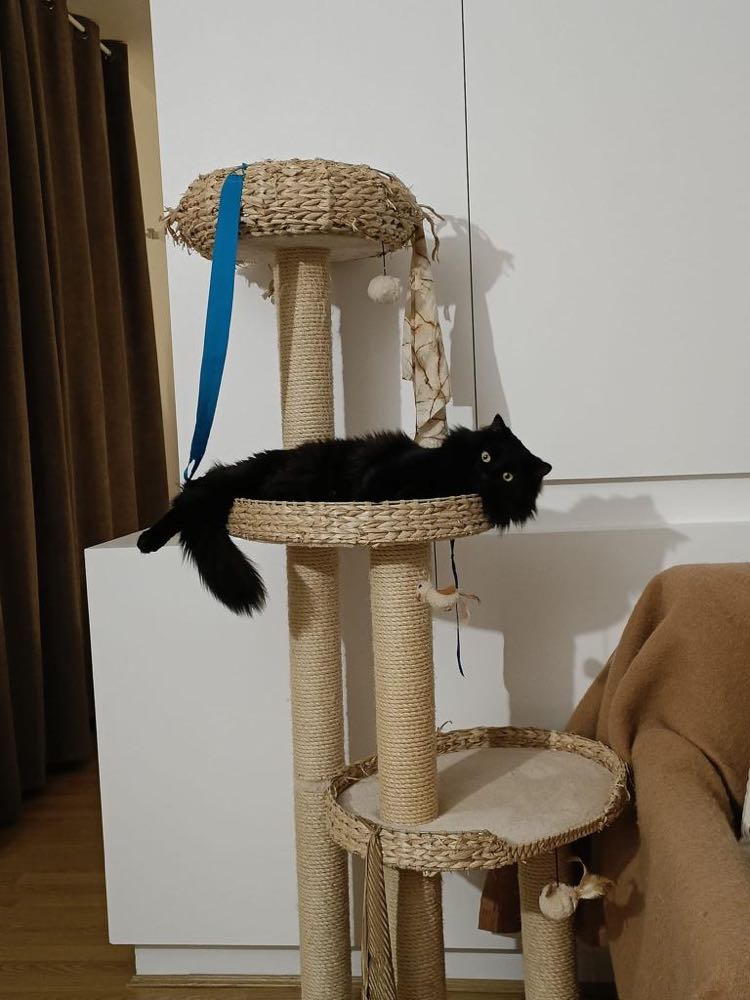 316256977_860841425359905_8314340683039767578_n