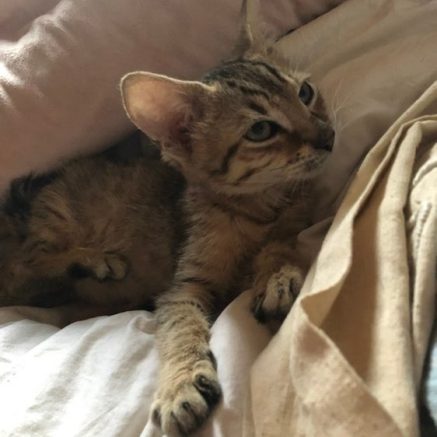 Photo de Chéri Bibi