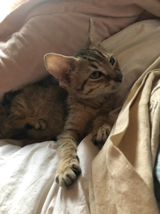 316579248_454924626796880_8265870884288902962_n