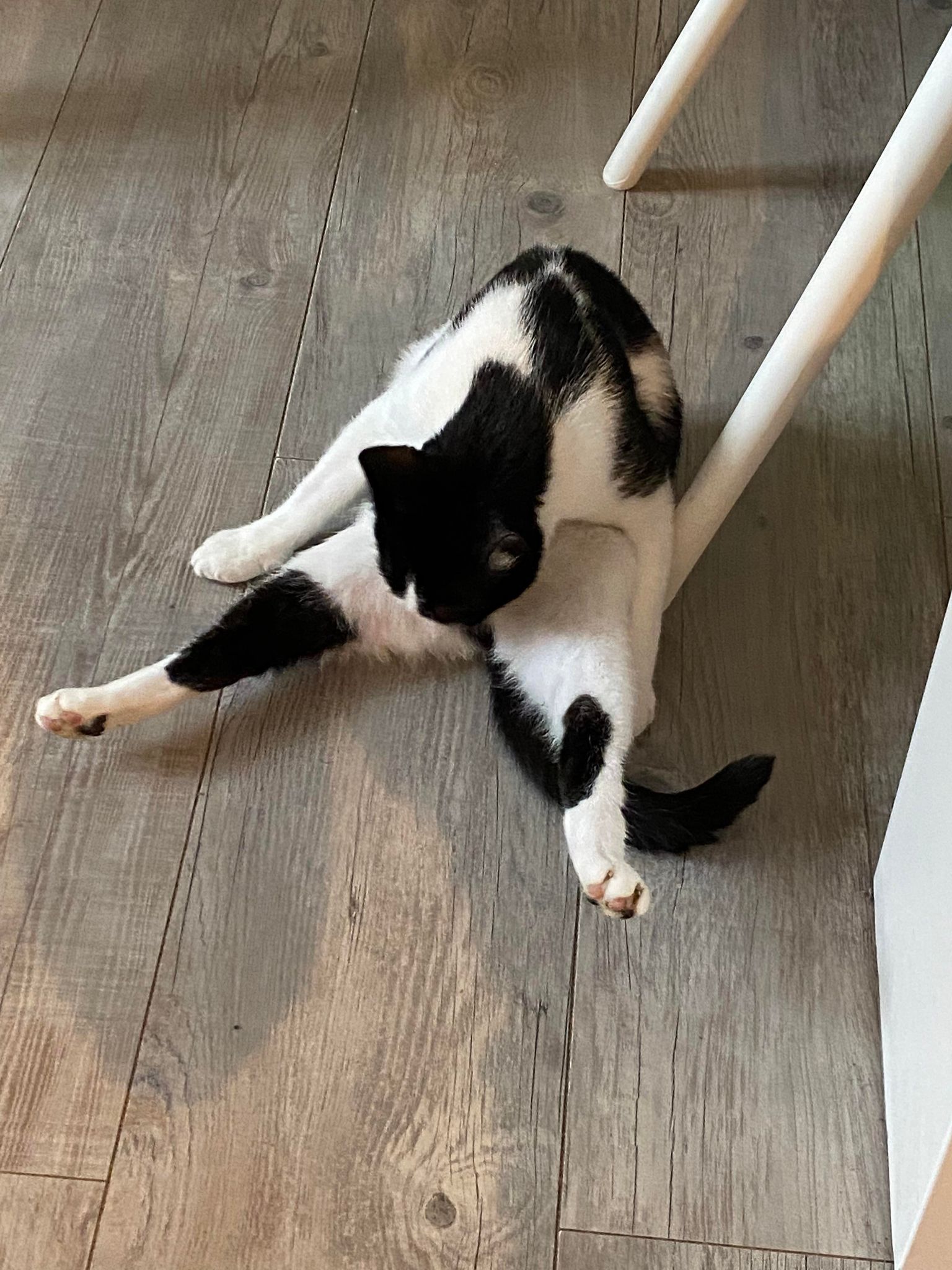 316726169_694690628644834_2990607820374038103_n