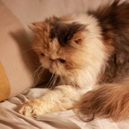 Photo de Ritournelle