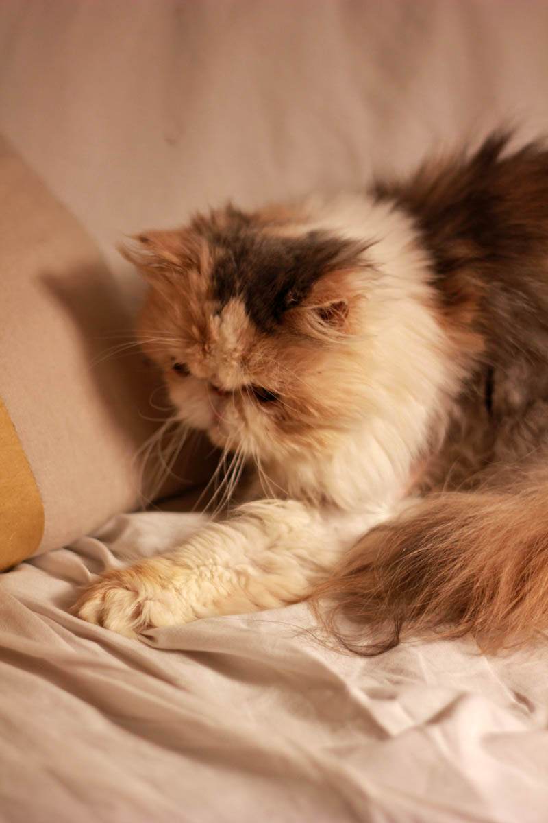 316871465_442726974727590_4936804439601390702_n