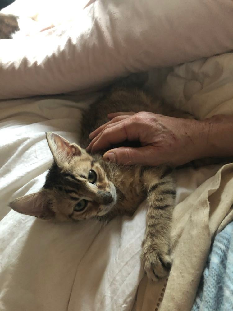 316946308_839379157371754_4572153491145774901_n