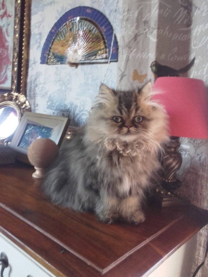 316985324_2948988738728812_6367643844634220903_n