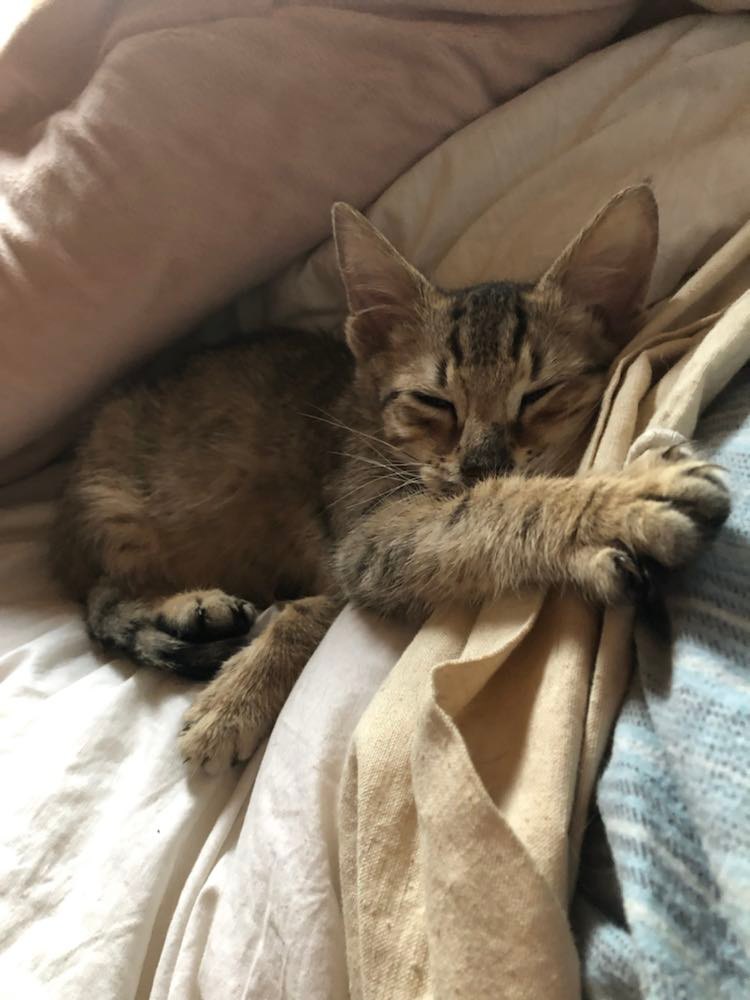 317059644_585723590224232_7528188608660084727_n