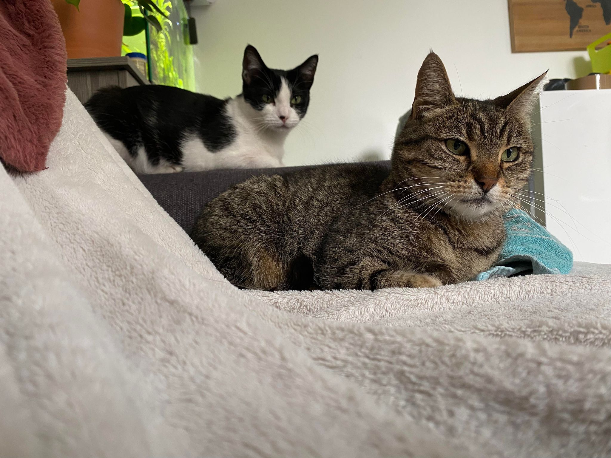 317229565_828639721740981_6551166205701221372_n