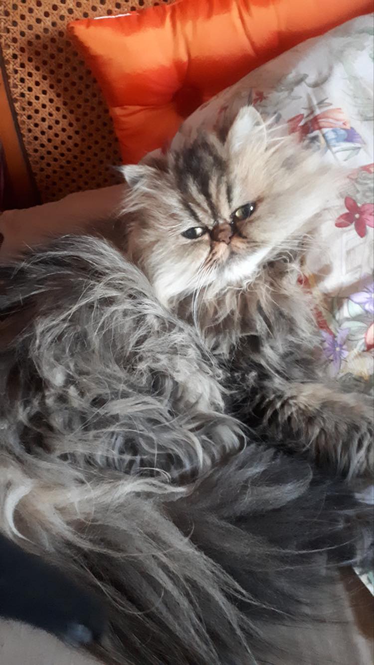 317297519_920434685754112_3473818182867006508_n