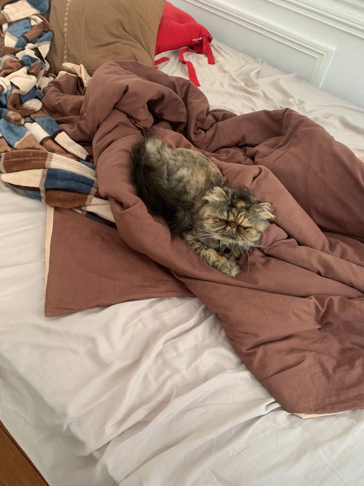 317639375_460238032903641_7220997705341012008_n