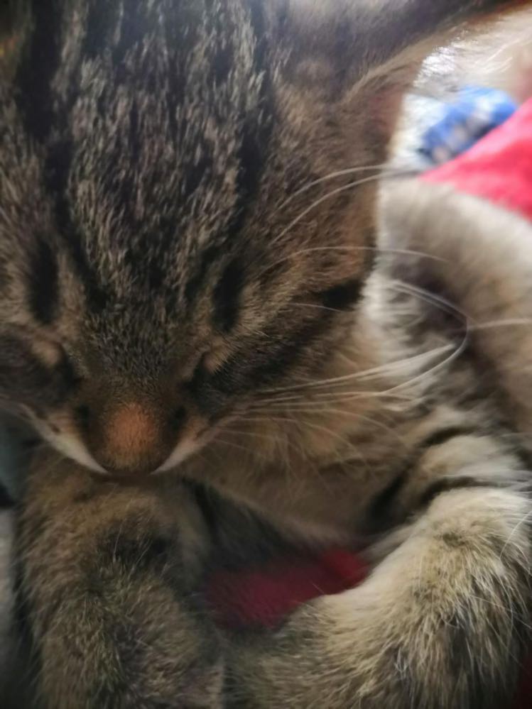 317741456_480722107281201_8854875641567841532_n