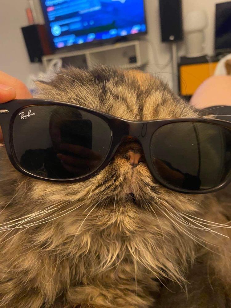 317784213_5590071461047408_702971240715717877_n