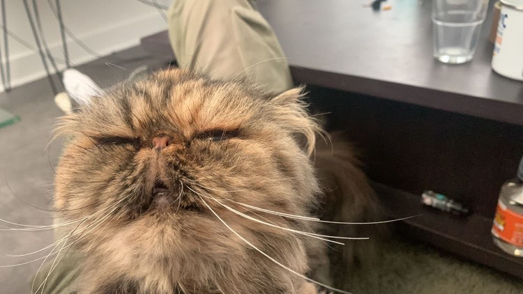 317883504_590456573081951_1485551472956984429_n