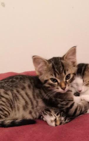 318068981_833850997829839_3724419955118361599_n