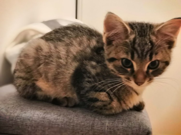 318280577_1503759343454779_1913982849209024313_n