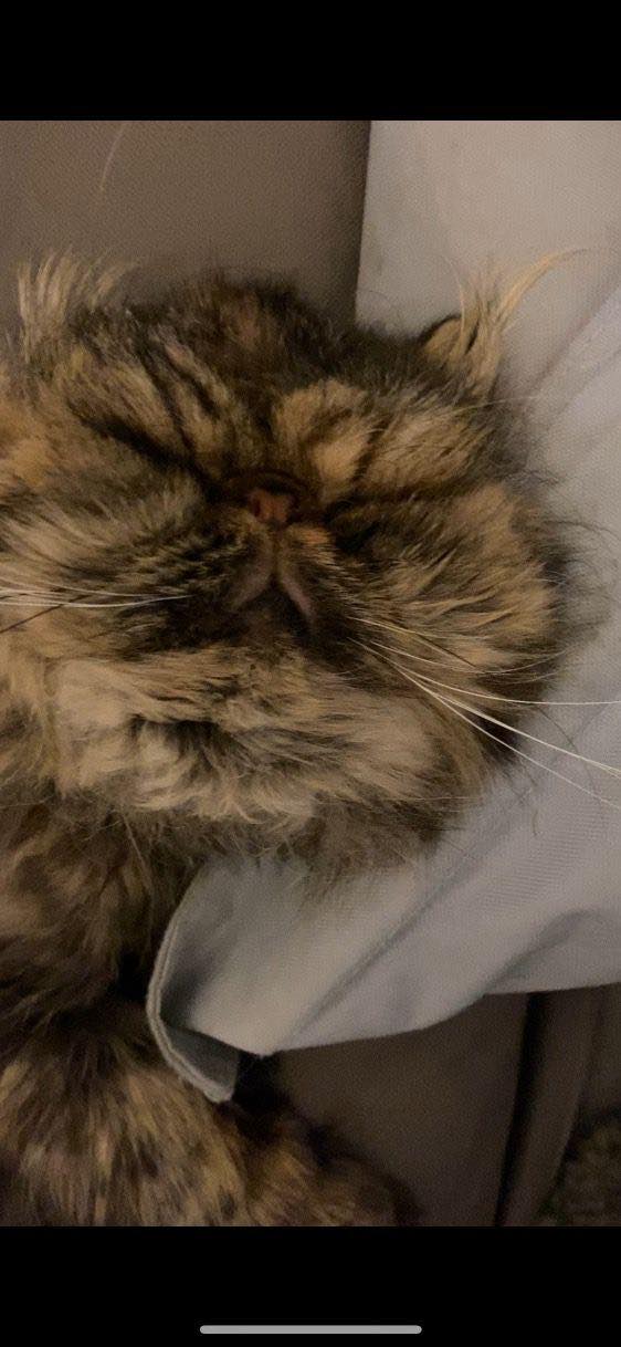 318292246_659457315658405_8577652678380506596_n