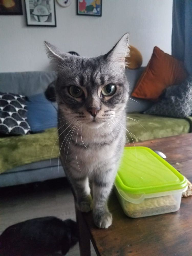 318628076_3310704955852185_7014295961602726617_n