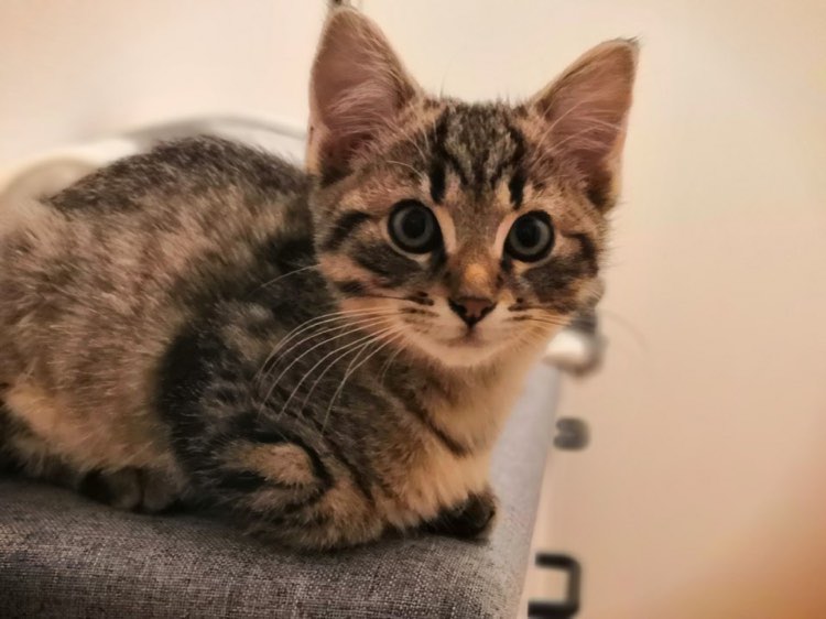 318857446_868342087653012_8067382425977270675_n