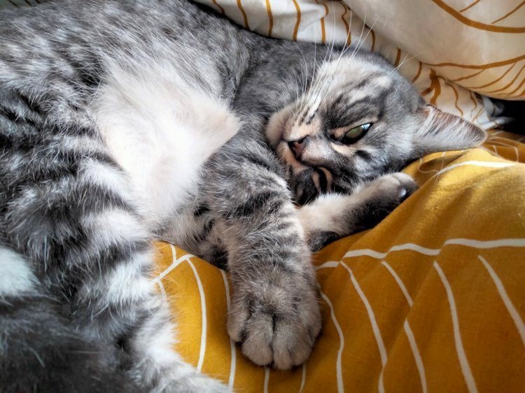 319034855_1176558376595820_7522377118124174175_n