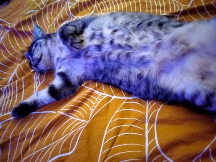 319439177_1213814796157961_153290475069134894_n