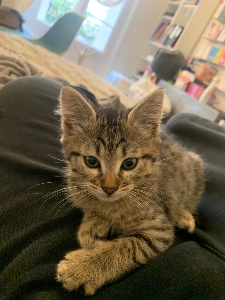 31f12883-5a8c-44ba-9195-f77d1b415421